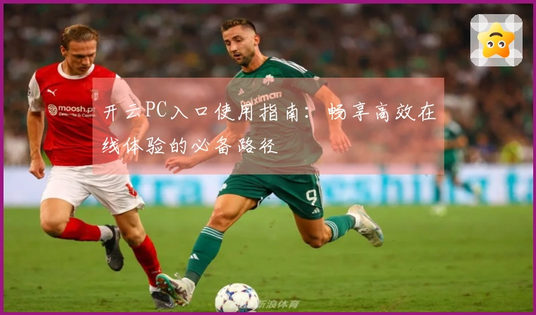 开云PC入口使用指南：畅享高效在线体验的必备路径